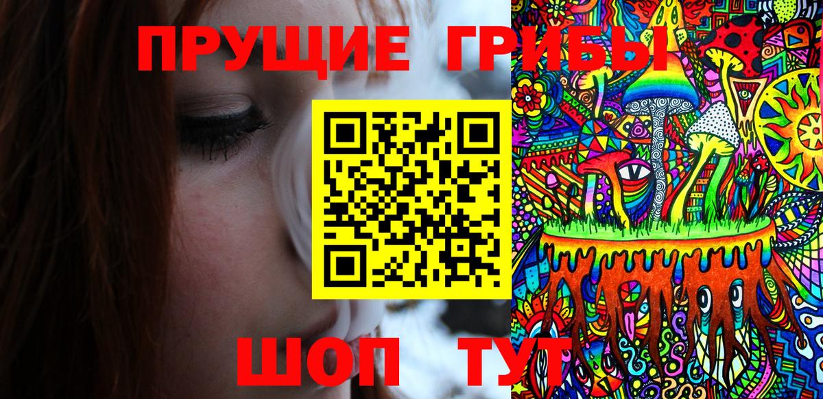 Псилоцибиновые грибы MAGIC MUSHROOMS  Вход с VPN  Старый Оскол 